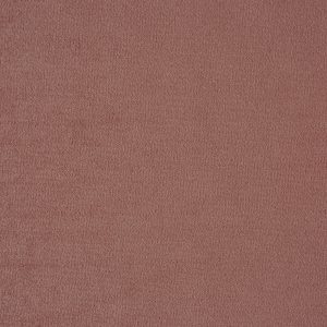 Kensington Rose